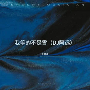 我等的不是雪（DJ 加快版）歌词 - 王羽泽