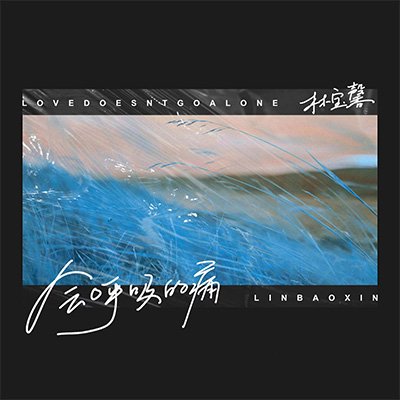 会呼吸的痛(吉他女生版)歌词 - 林宝馨