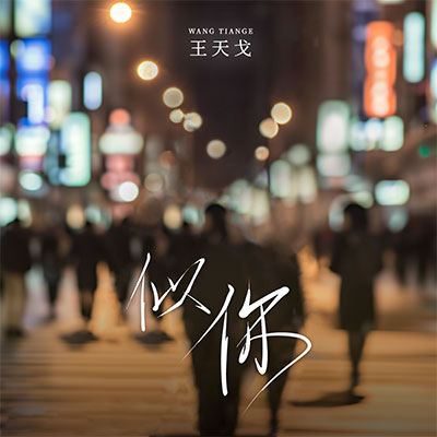似你歌词 - 王天戈