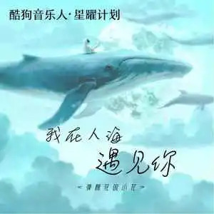 我在人海遇见你(女声版)歌词 - 弹棉花的小花