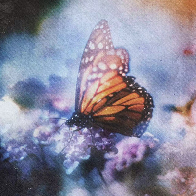 花乡蝶歌词 - ZIKK / KenRobb