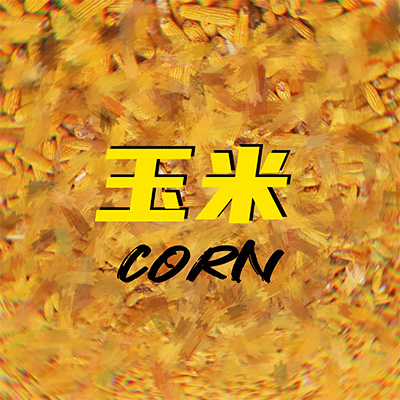 玉米歌词 - 某幻君 / 王瀚哲 (中国BOY)