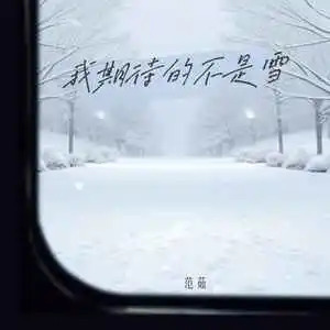 我期待的不是雪歌词 - 范茹