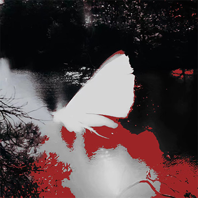 该歌词 - sea蕊 / 吴炳文