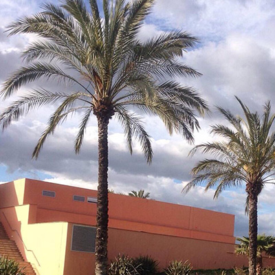 Ride It (Regard Remix)歌词 - Regard / Jay Sean