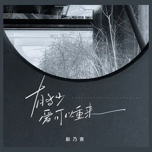 有多少爱可以重来歌词 - 赵乃吉