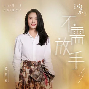 不需放手 (《小日子》电视剧片尾曲)歌词 - 谭维维