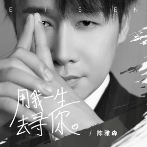 用我一生去寻你歌词 - 陈雅森