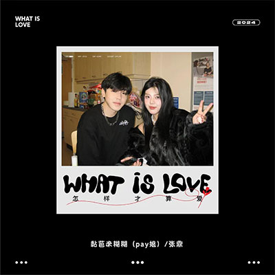 怎样才算爱(你给的love)歌词 - 黏苞米糊糊（pay姐） / 张鼎
