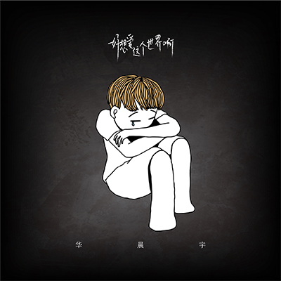 好想爱这个世界啊歌词 - 华晨宇