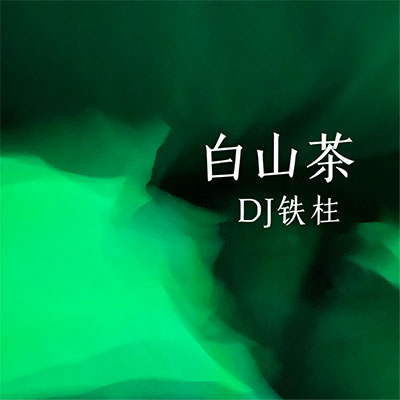白山茶(DJ铁柱版)歌词 - DJ铁柱