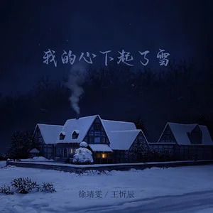 我的心下起了雪歌词 - 徐靖雯 /王忻辰