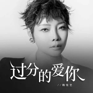 过分的爱你歌词 - 魏佳艺
