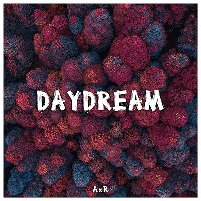 Daydream - AxR