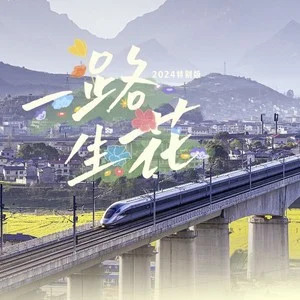 一路生花(2024 特别版)歌词 - 温奕心