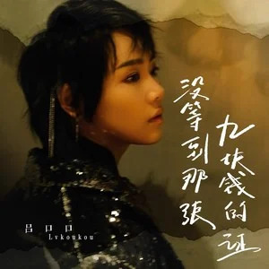 没等到那张九块钱的证歌词 - 吕口口