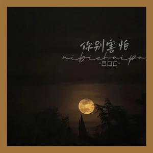 你别害怕歌词 - 吕口口