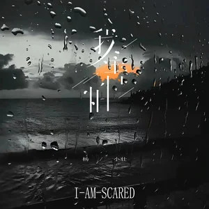 我害怕歌词 - 杨小壮