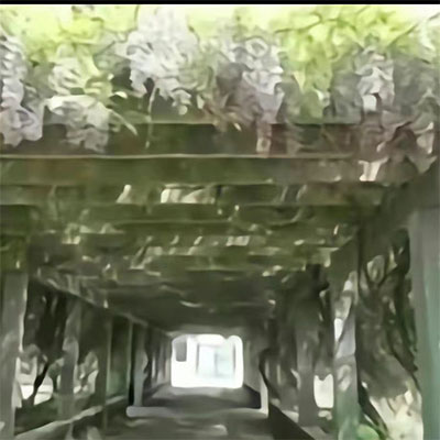 中式梦核(属于我们千禧年时代的回忆) - Senjus