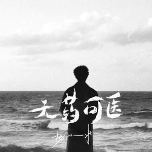 无药可医歌词 - 杨小壮