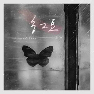 红豆 (相思版)歌词 - 池鱼