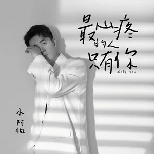 最心疼的人只有你歌词 - 小阿枫