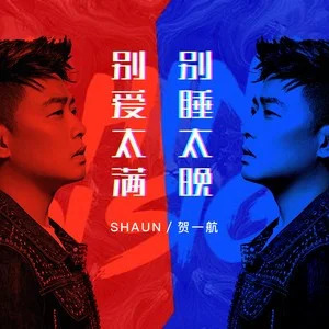 别爱太满别睡太晚歌词 - 贺一航