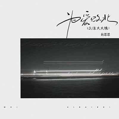 为爱败北(DJ豪大大版)歌词 - 向思思