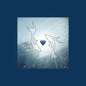 双鱼歌词 - 徐秉龙