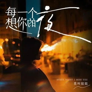 每一个想你的夜歌词 - 莫叫姐姐