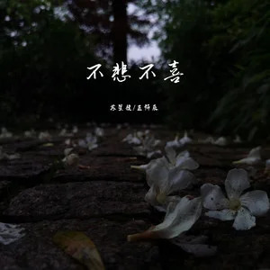 不悲不喜歌词 - 王忻辰/苏星婕