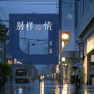 别样心情歌词 - 张磊