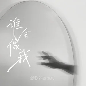 谁会像我歌词 - 张叔公emo了
