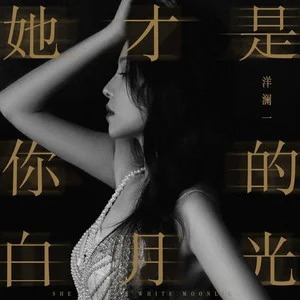 她才是你的白月光 (柔情版)歌词 - 洋澜一