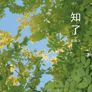 知了歌词 - 陈默之