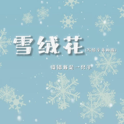 雪绒花 (写给辛夷的歌)歌词 - 没错我是一只羊