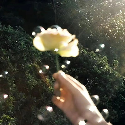 凭什么说(你居心何在～)歌词 - CashMoon