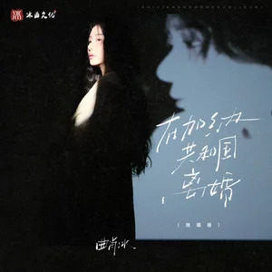 在加纳共和国离婚(独唱版)歌词 - 曲肖冰