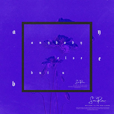 anybody else but u歌词 - SORROW / 金桔0RANG3