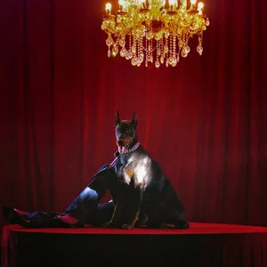 After Birthday Party歌词 - 李大奔BENZO