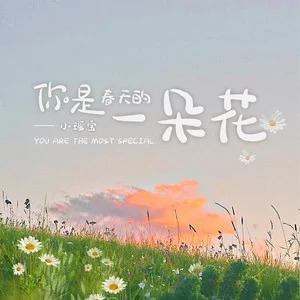 你是春天的一朵花歌词 - 小瑶宝