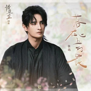 落在心上的花 (《惜花芷》影视剧插曲)歌词 - 张远