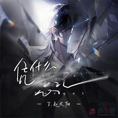 无赖凭什么忘记歌词 - 赵太阳 / 听潮阁