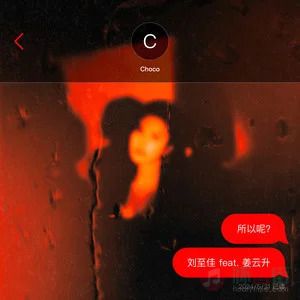 所以呢歌词 - 刘至佳/姜云升