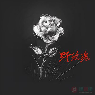 野玫瑰歌词 - 就是南方凯