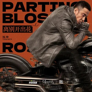 离别开出花歌词 - 杨坤
