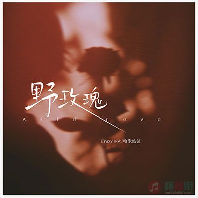 野玫瑰歌词 - 哈米波波 / Crazy Boy