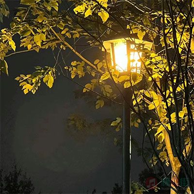 当路灯断了电(我被抽离到过去)歌词 - Dave