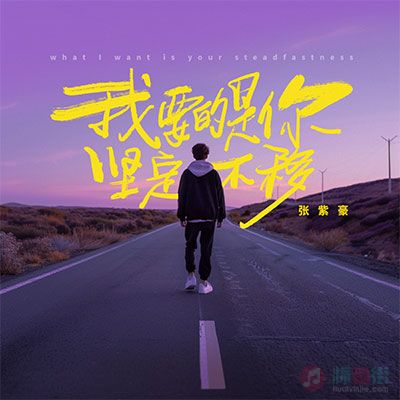 我要的是你坚定不移歌词 - 张紫豪