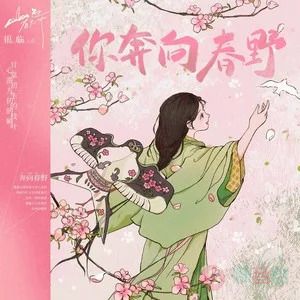 你奔向春野歌词 - 银临